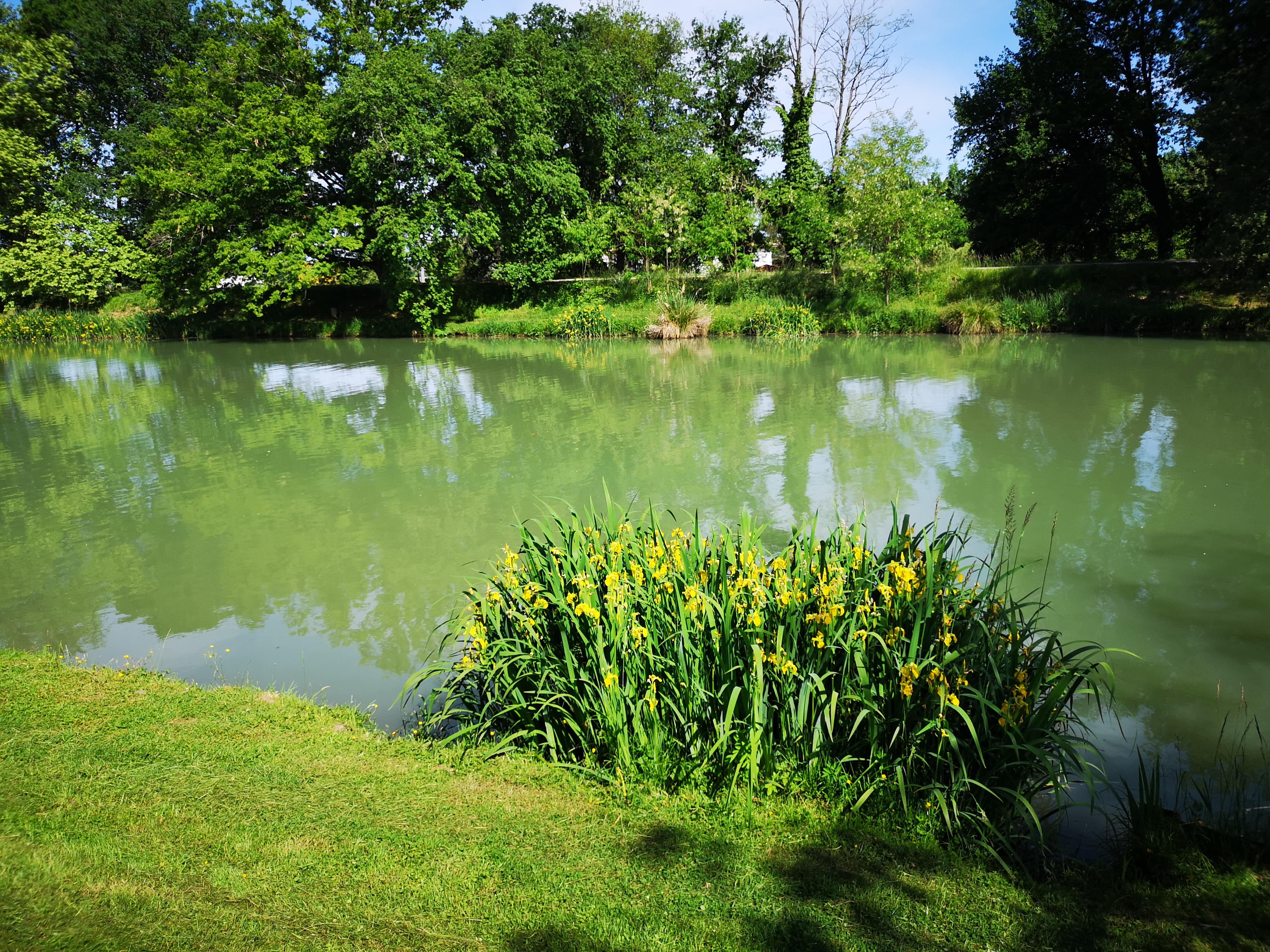 Photo n° 1 de l'avis de Marie-Hélène.� fait le 17/05/2019 à 09:14