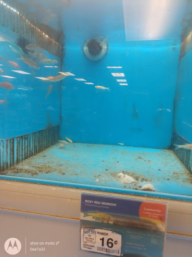 Pet Supply Store «PetSmart», reviews and photos, 4655 Century Blvd, Pittsburg, CA 94565, USA