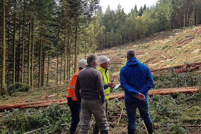 ALLIANCE Forêts Bois à Chartres