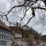 Photo n°1 de l'avis de Thomas.o fait le 09/03/2019 à 13:38 sur le  Café Bachbeck Konditorei à Schiltach