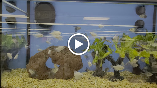 Pet Supply Store «Petco Animal Supplies», reviews and photos, 179 N Milwaukee St, Boise, ID 83704, USA