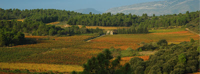Gie Vinodixvins à La Livinière