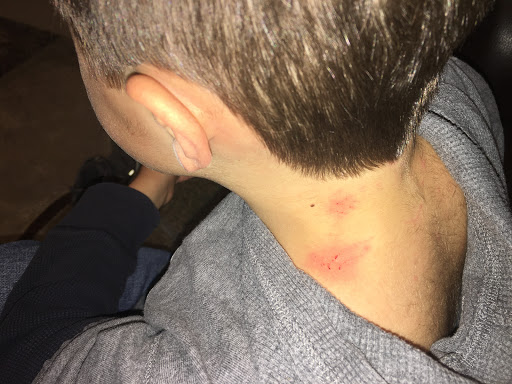 Hair Salon «Hair Cuttery», reviews and photos, 10037 Jefferson Davis Hwy, Fredericksburg, VA 22407, USA