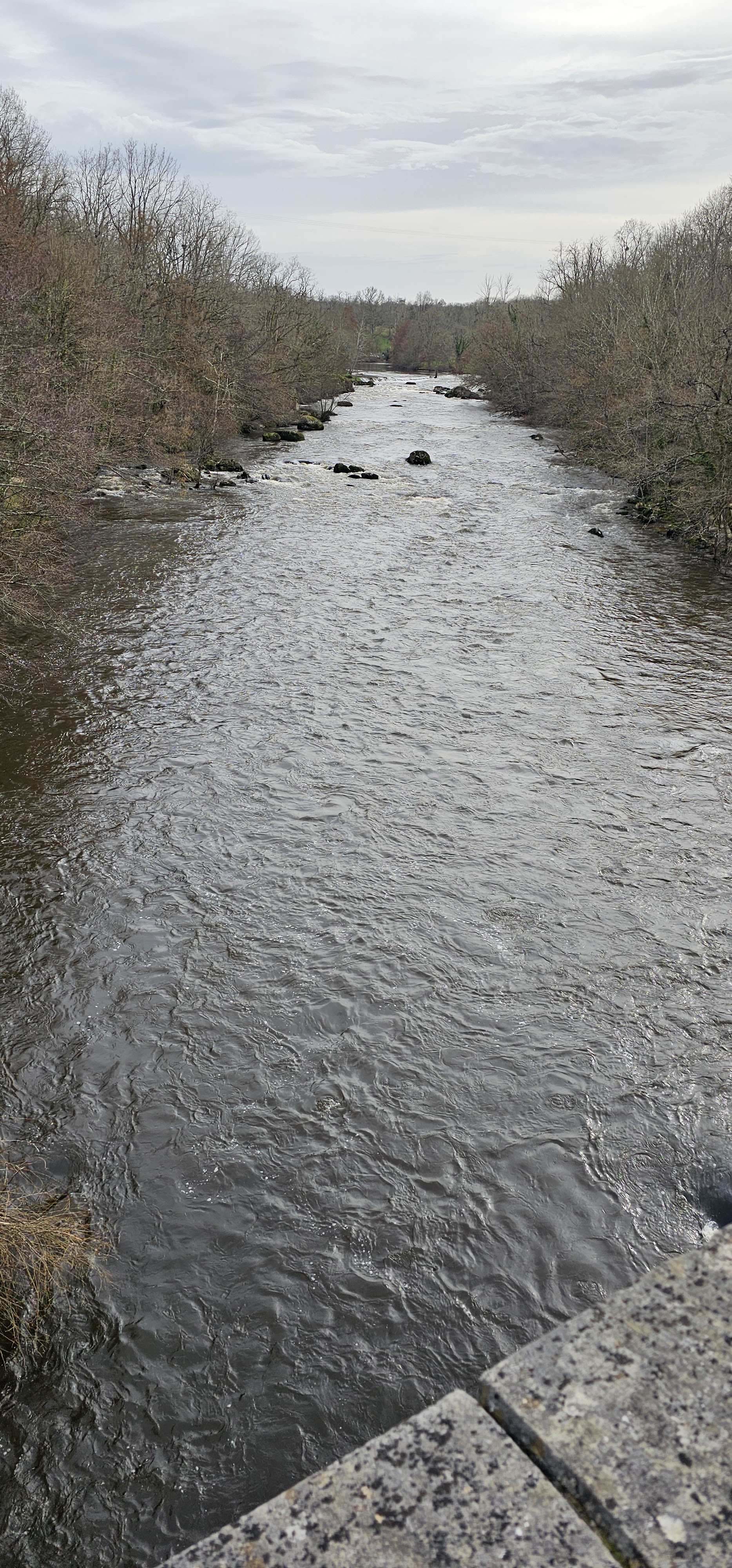 Photo n° 3 de l'avis de Thierry.h fait le 15/02/2024 à 18:04