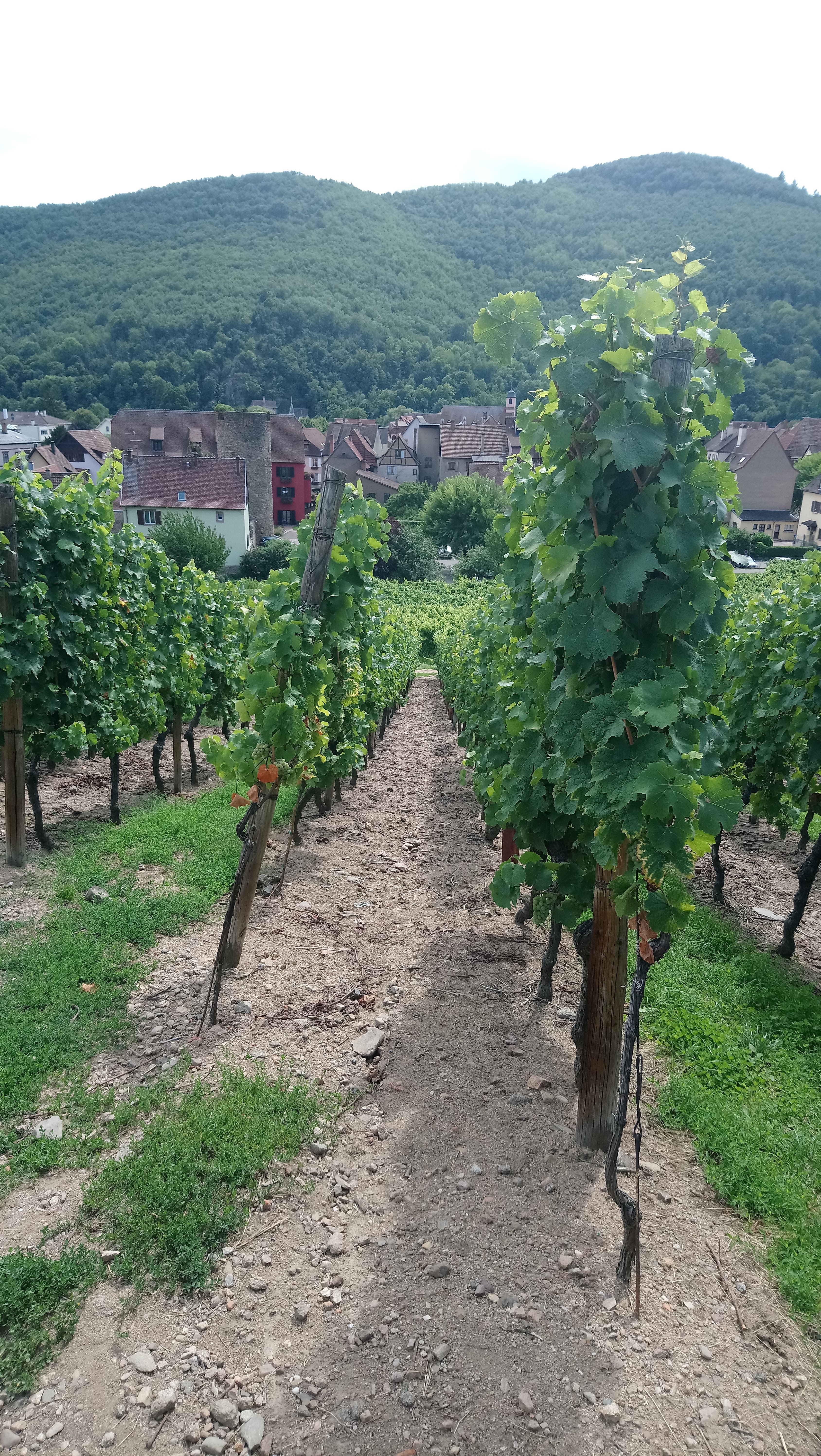 Photo n° 1 de l'avis de Shirley.c fait le 22/08/2019 à 20:03