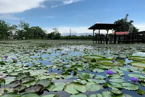 City Lotus Garden image