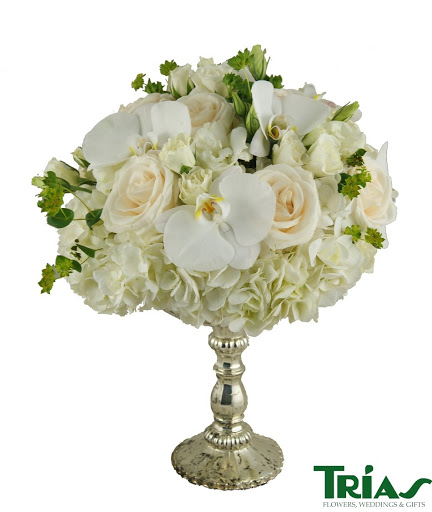Florist «Trias Flowers & Gifts», reviews and photos, 6520 SW 40th St, Miami, FL 33155, USA