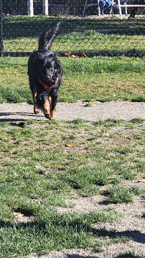 Park «Morrill Meadows Park», reviews and photos, 10600 SE 248th St, Kent, WA 98030, USA