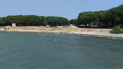 Kocadere beach'in fotoğrafı vahşi alan