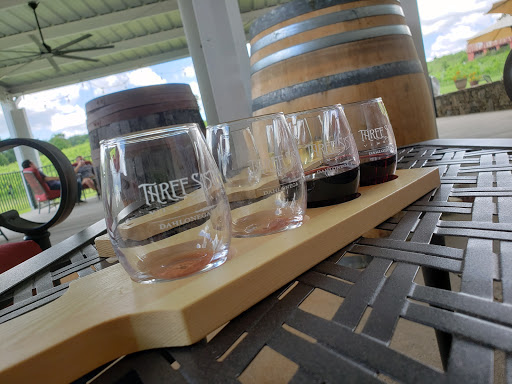 Vineyard «Three Sisters Vineyards & Winery», reviews and photos, 439 Vineyard Way, Dahlonega, GA 30533, USA