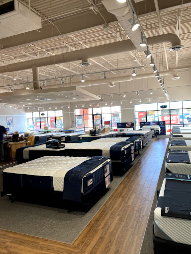 Mattress Firm Oracle Wetmore
