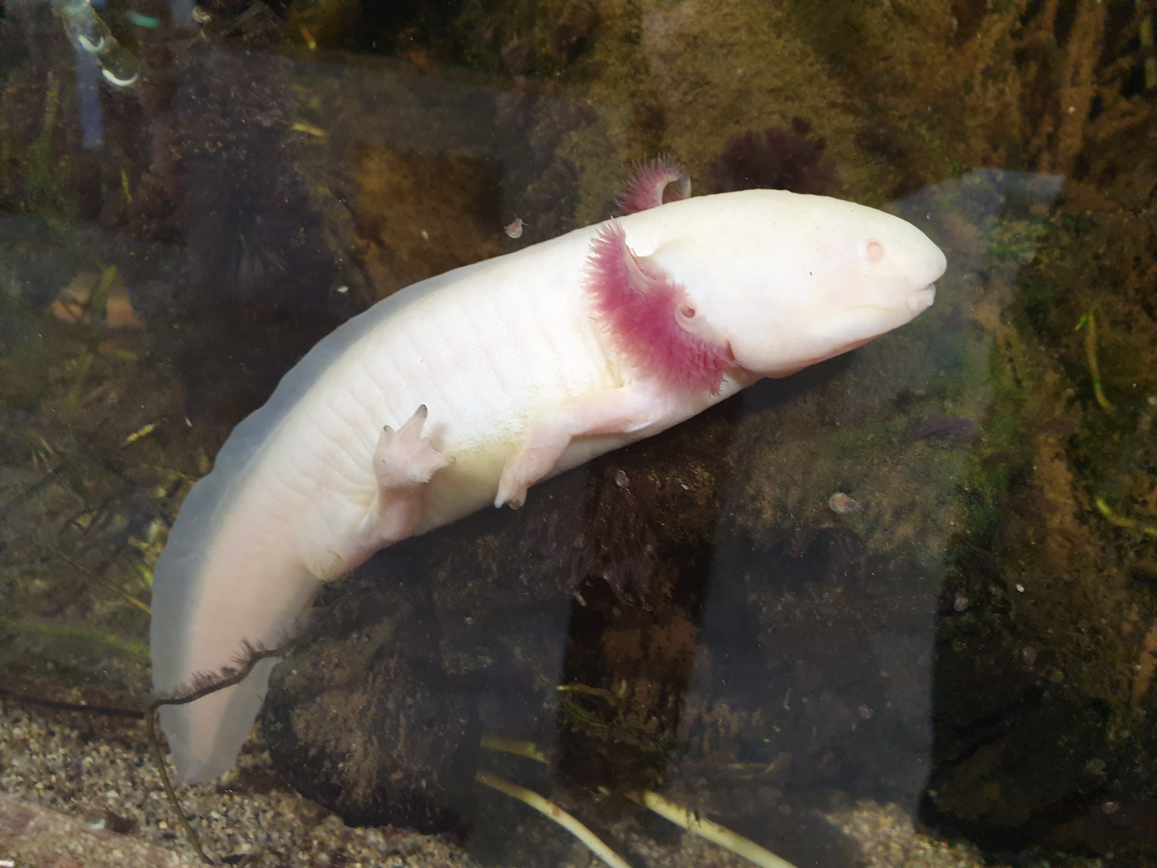 Photo n° 4 de l'avis de Anais.a fait le 01/03/2023 à 07:18