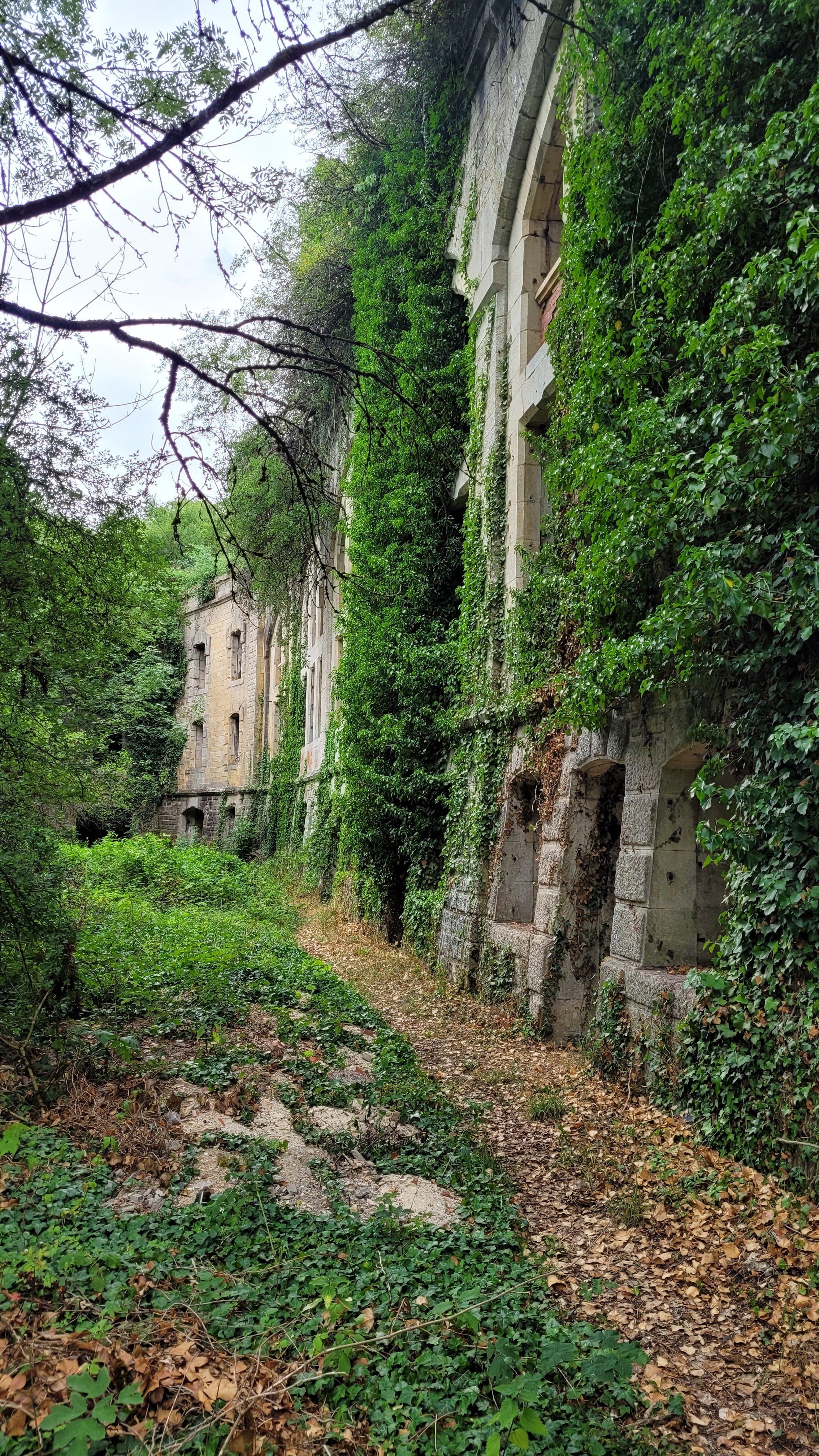 Photo n° 1 de l'avis de Franck.a fait le 06/08/2023 à 20:52