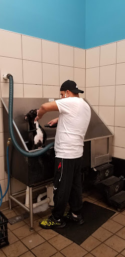 Pet Supply Store «Pet Supplies Plus», reviews and photos, 3200 E Agency St #200, Burlington, IA 52601, USA