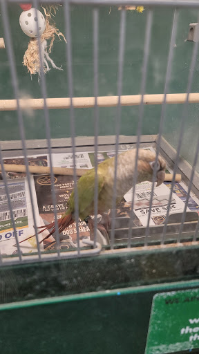 Pet Supply Store «Pet Supplies Plus», reviews and photos, 2057 S Telegraph Rd, Bloomfield Hills, MI 48302, USA