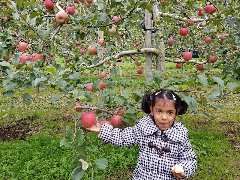 上ノ山 りんご観光農園 Apple farm
