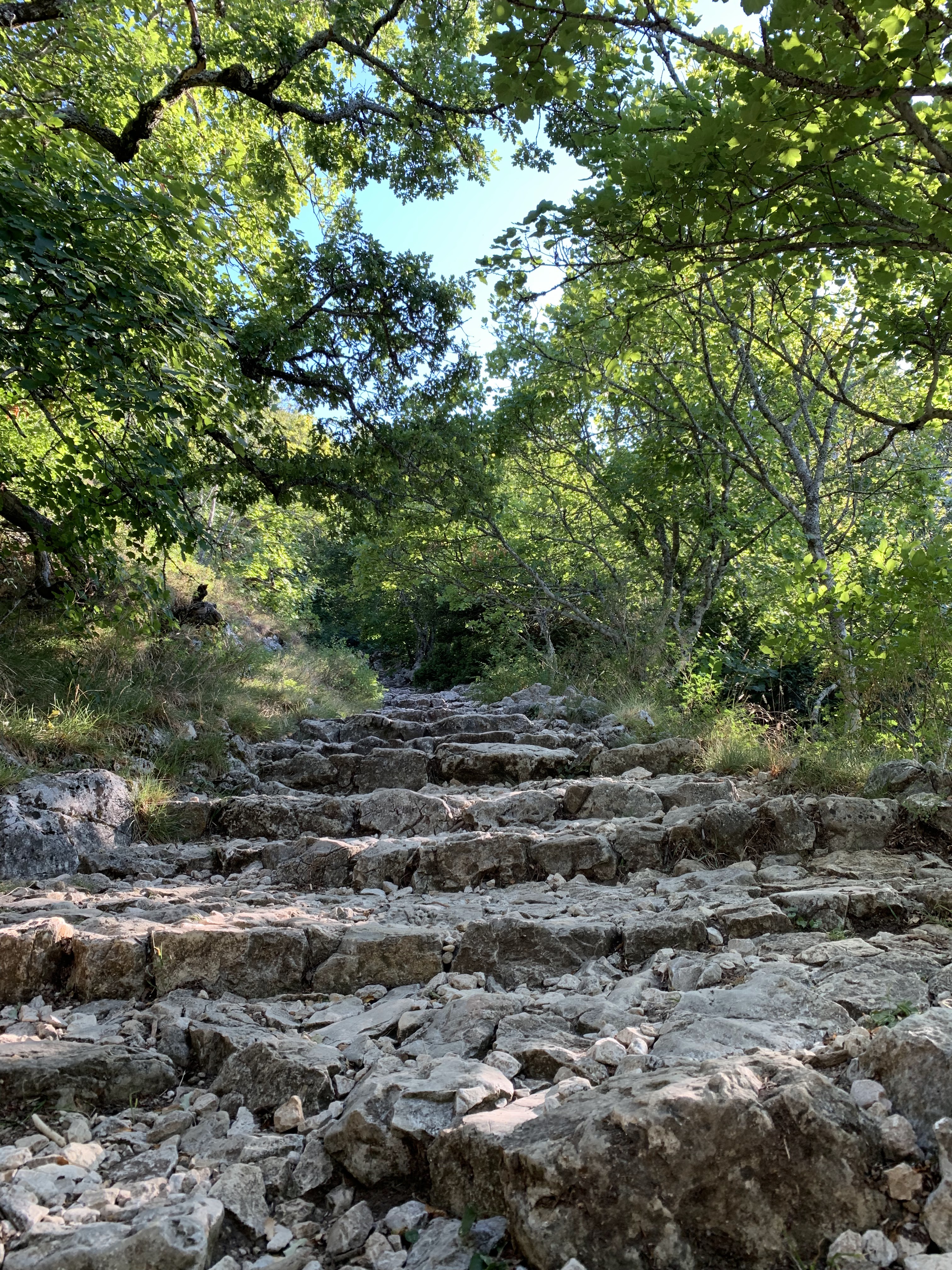 Photo n° 5 de l'avis de CYPRIEN.R fait le 03/09/2019 à 07:17