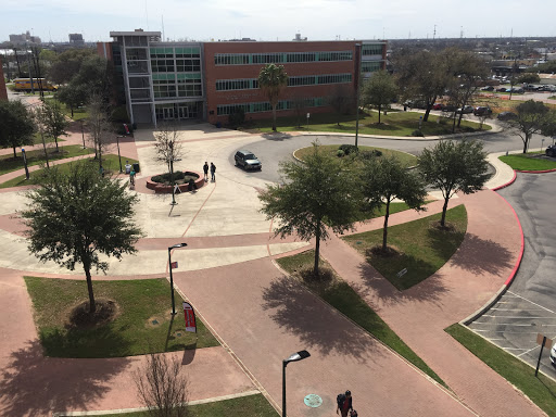 Community College «San Antonio College», reviews and photos
