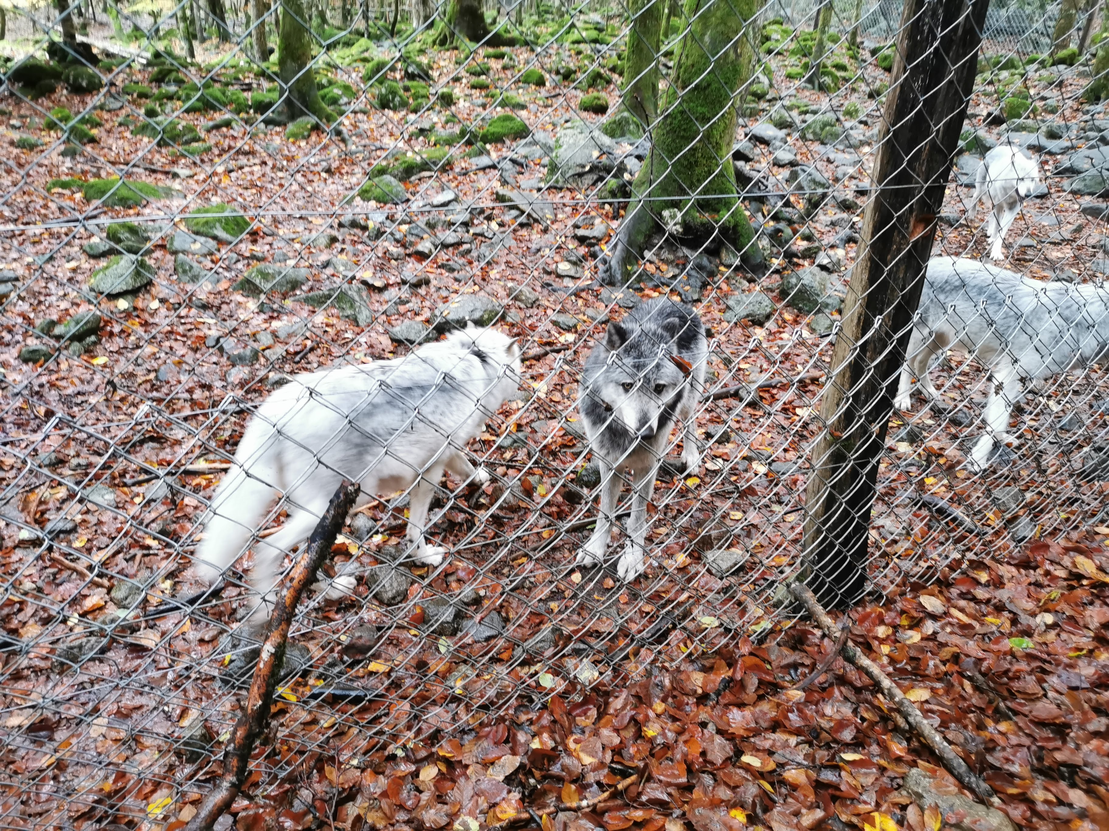 Photo n° 5 de l'avis de sandrine.e fait le 17/11/2019 à 11:04