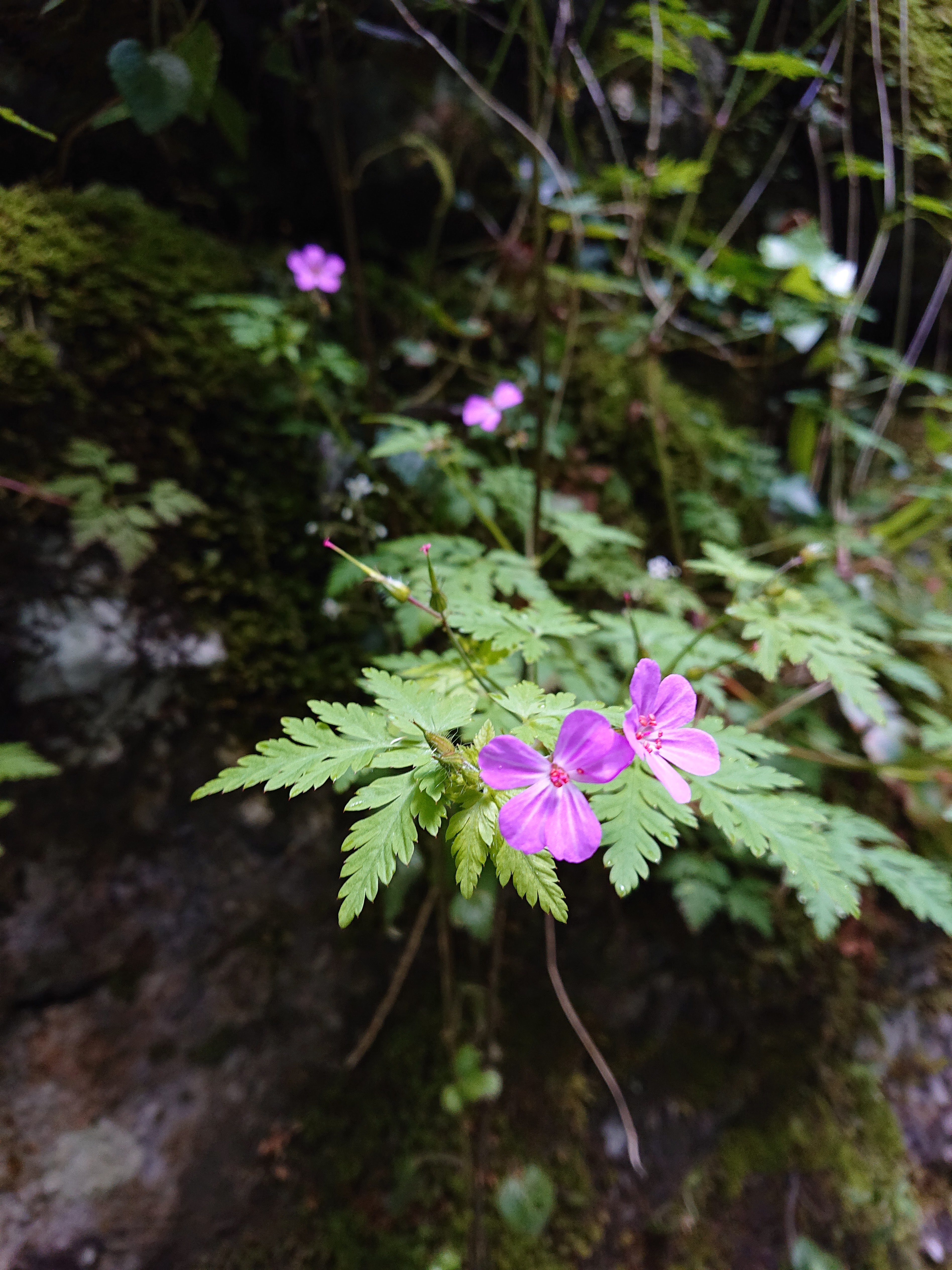 Photo n° 9 de l'avis de Clm.r fait le 22/05/2019 à 18:07