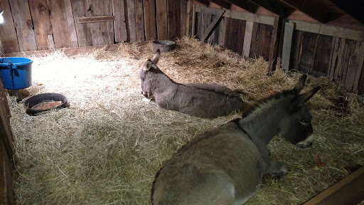 Funeral Home «Paul R Young Funeral Home», reviews and photos, 7345 Hamilton Ave, Cincinnati, OH 45231, USA