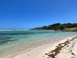 Saladilla beach'in fotoğrafı doğal alan içinde bulunmaktadır