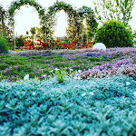 Photo n°1 de l'avis de Teresa.a fait le 20/06/2019 à 14:45 sur le  Ristorante Giardino Delle Rose à Lettere