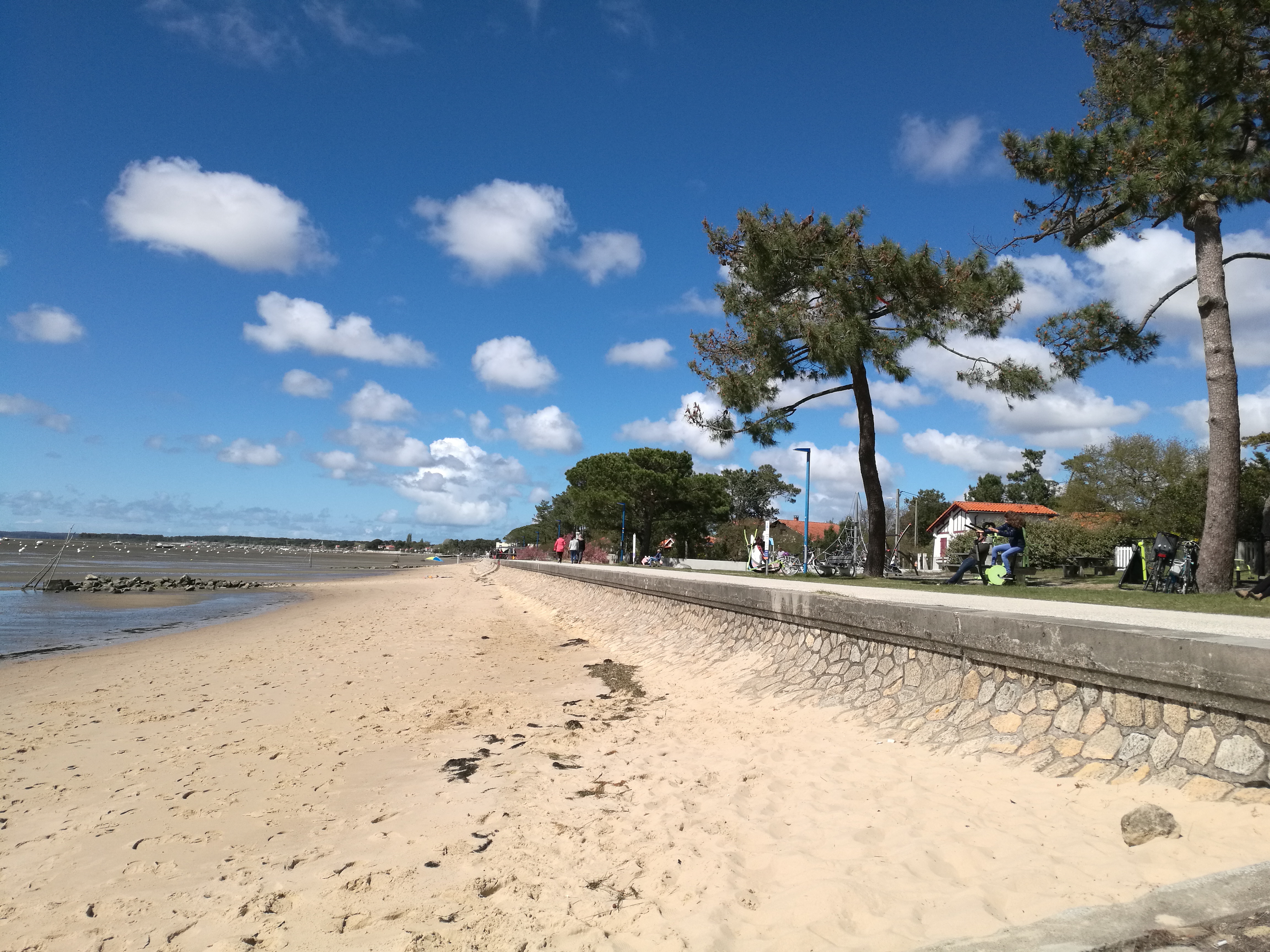 Photo n° 4 de l'avis de Yacine.a fait le 07/04/2019 à 13:48