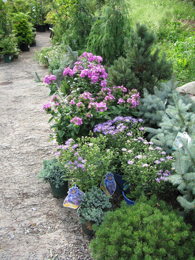 Garden Center «Victoria Gardens», reviews and photos, 1 Cottekill Rd, Rosendale, NY 12472, USA