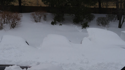 Discount Store «Walmart», reviews and photos, 950 Edwards Ferry Rd NE, Leesburg, VA 20176, USA