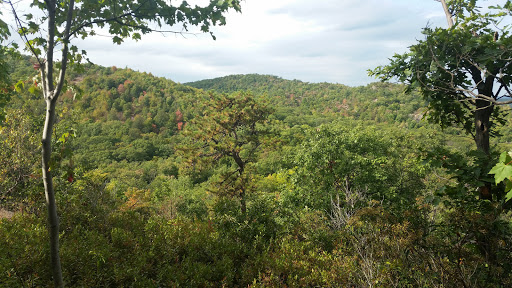Nature Preserve «The New Weis Center for Education, Arts & Recreation», reviews and photos, 150 Snake Den Rd, Ringwood, NJ 07456, USA