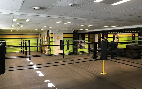 Petes boxing gym stavanger image