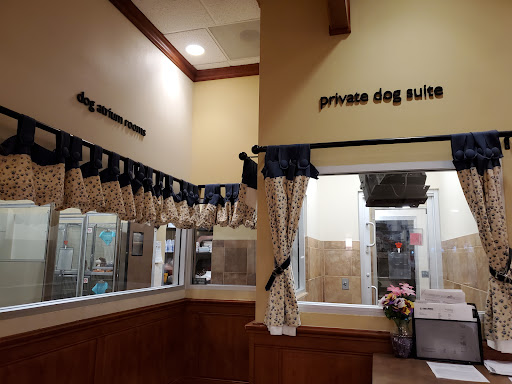 PetSmart image