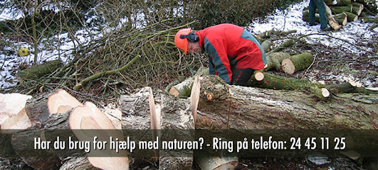 Bæver Naturbyg v/Morten Glentemose