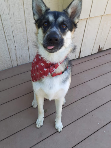 Pet Supply Store «PetSmart», reviews and photos, 920 Groveland Ln, Lincoln, CA 95648, USA