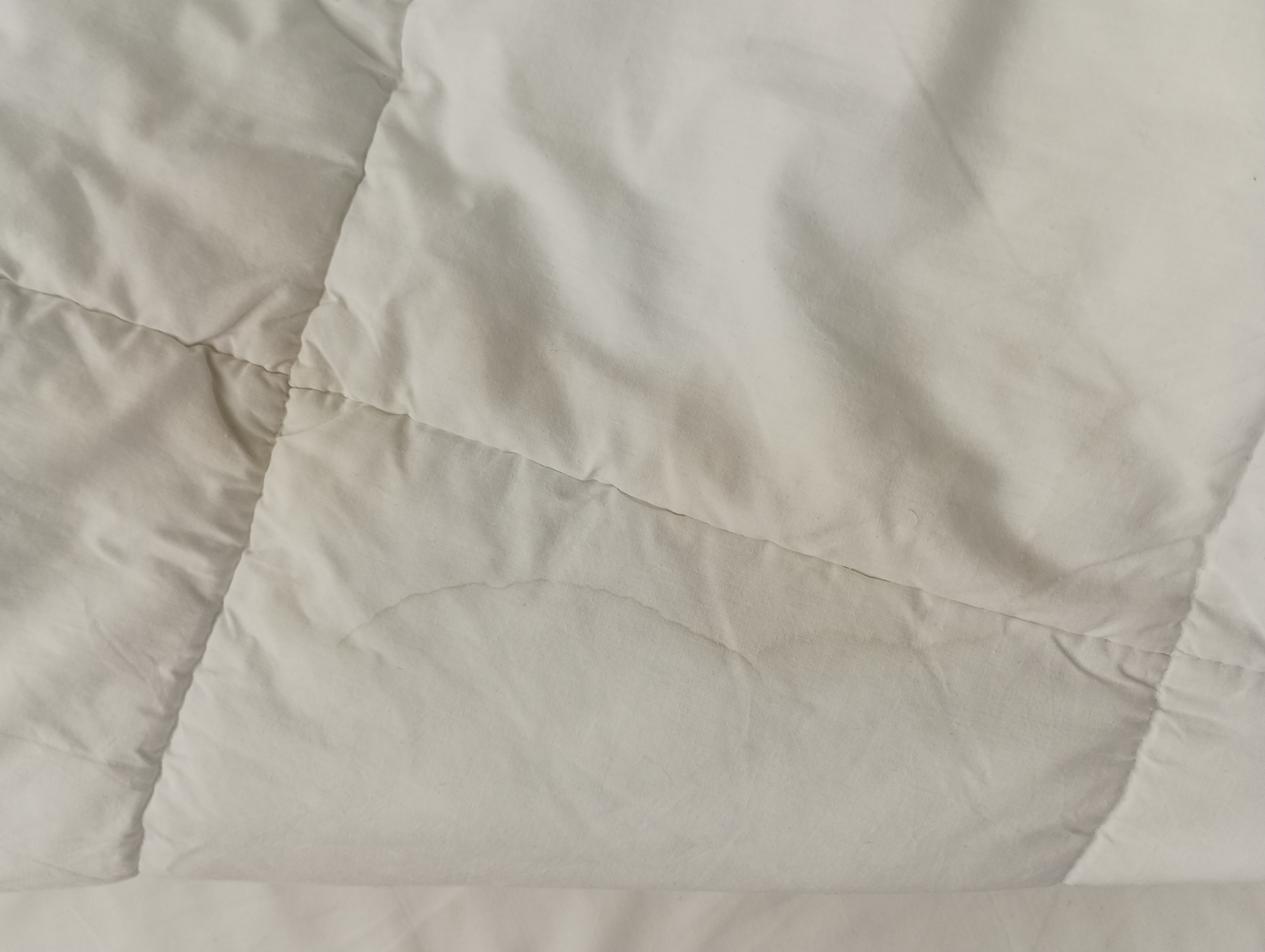 Photo n° 2 de l'avis de Remi.l fait le 10/01/2023 à 15:59