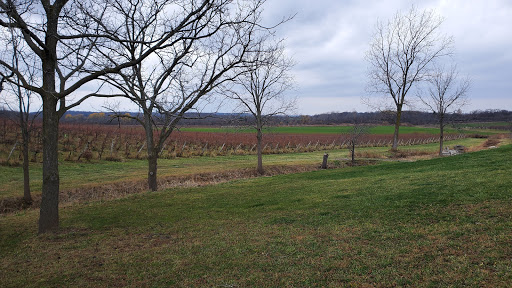Winery «Arrowhead Spring Vineyards», reviews and photos, 4746 Town Line Rd, Lockport, NY 14094, USA