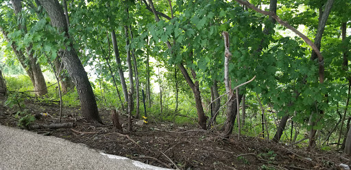 Fortress «Battery Weed», reviews and photos, N Weed Rd, Staten Island, NY 10305, USA