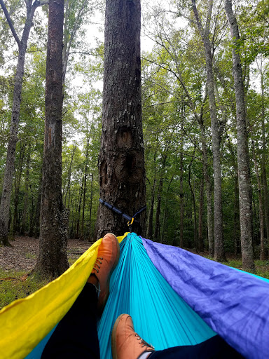 National Park «Kings Mountain National Military Park», reviews and photos, 2625 Park Rd, Blacksburg, SC 29702, USA