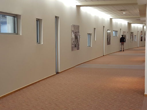 Stadium «Paul Brown Stadium», reviews and photos, 1 Paul Brown Stadium, Cincinnati, OH 45202, USA