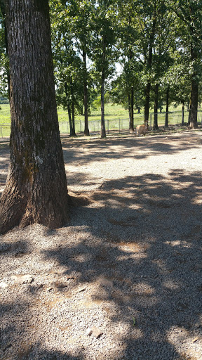 Shopping Mall «Conway Towne Centre Shopping Center», reviews and photos, 201 Skyline Dr, Conway, AR 72032, USA