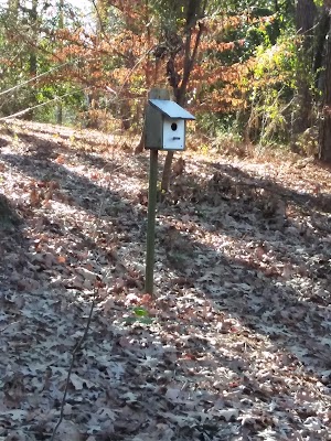 South Arkansas Arboretum - photo 65
