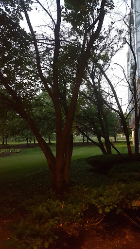 Hotel «Chicago Marriott Suites by Marriott Downers Grove», reviews and photos, 1500 Opus Pl, Downers Grove, IL 60515, USA