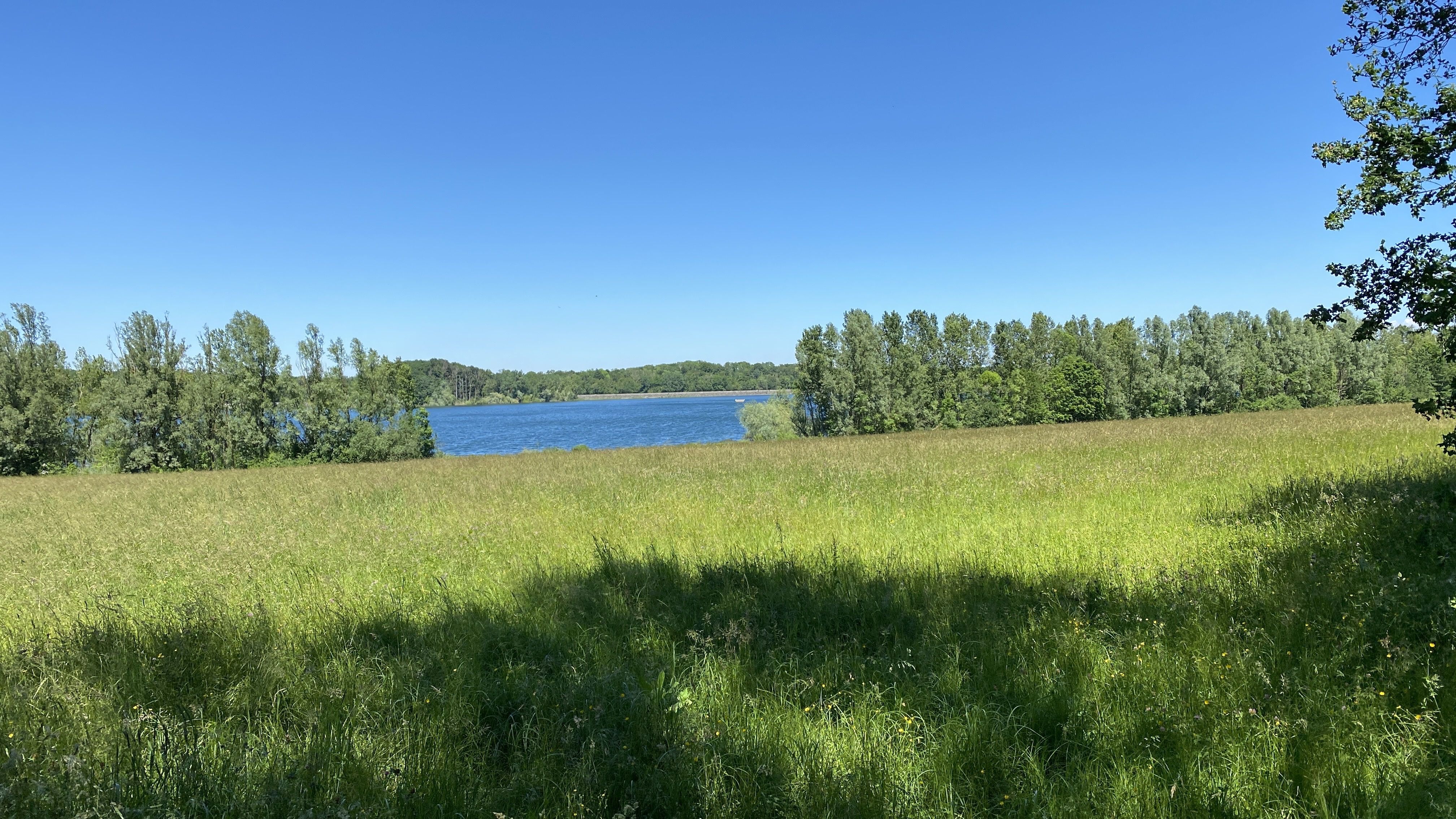 Photo n° 3 de l'avis de Frédéric.e fait le 05/10/2021 à 10:22