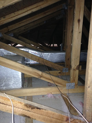 Pest Control Service «Critter Control of Miami», reviews and photos