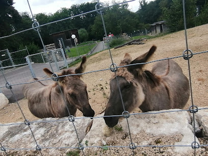 Tierpark Augusta Raurica