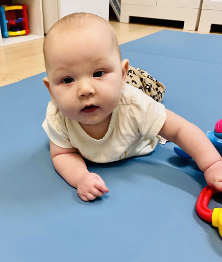 Preschool «Turtle Tots Academy», reviews and photos, 1681 US-1, St Augustine, FL 32084, USA