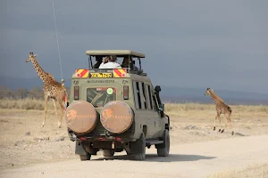 Cheetah Revolution Safaris image