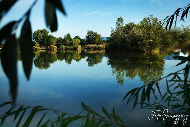 Opinii despre Gyáli Horgászpark în Gyál - Szórakozóhely