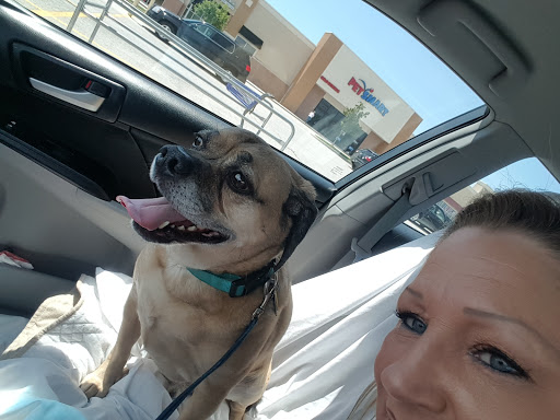 Pet Supply Store «PetSmart», reviews and photos, 181 Wilson Ave, Hanover, PA 17331, USA